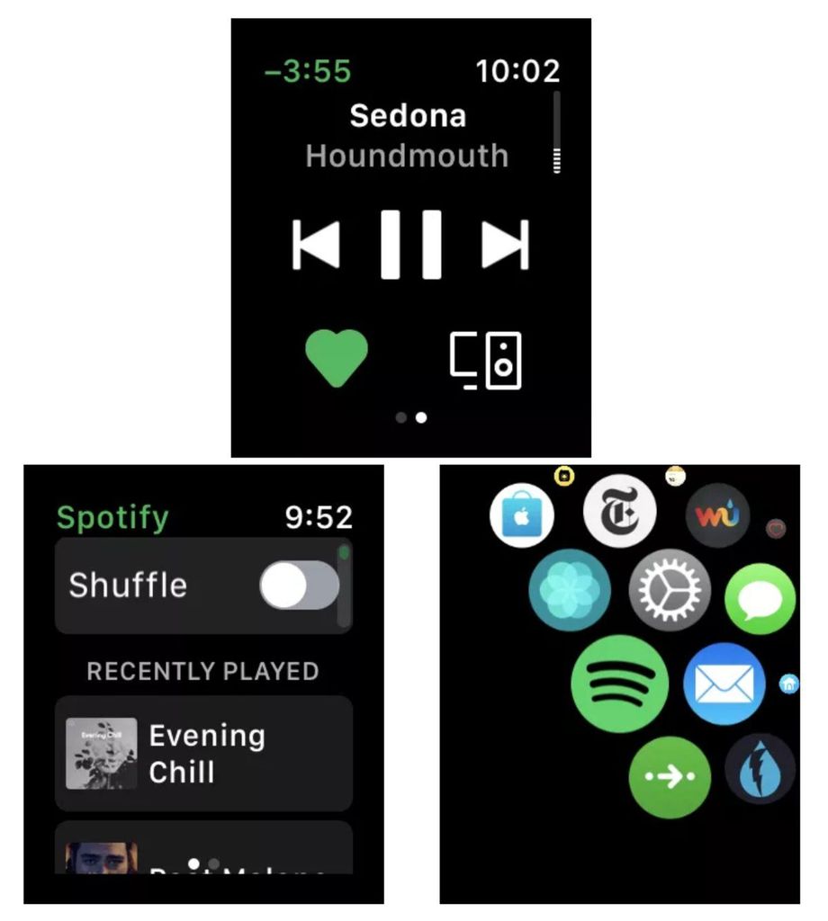 spotify apple watch