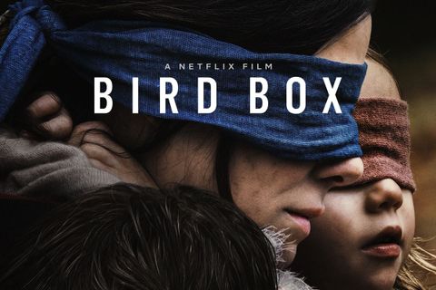 bird box netflix