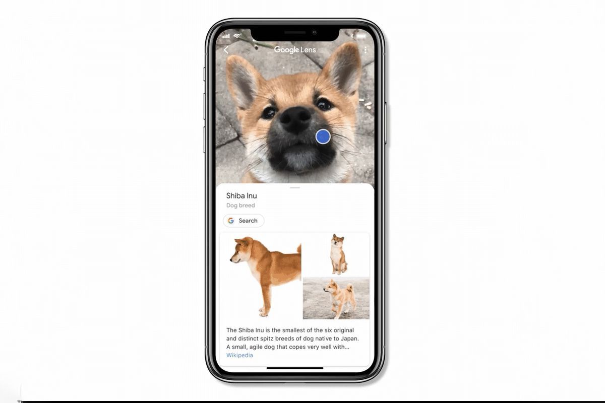 google lens