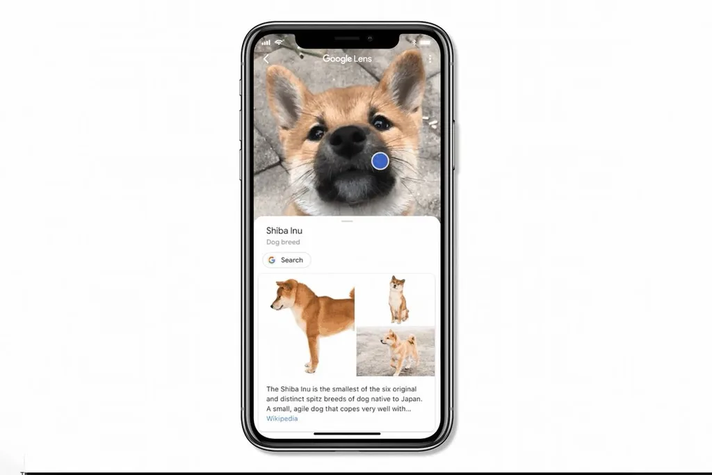Google Lens’e iOS üzerinden erişim seçenekleri artıyor