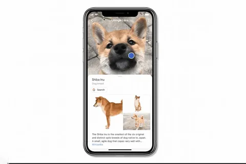 Google Lens’e iOS üzerinden erişim seçenekleri artıyor