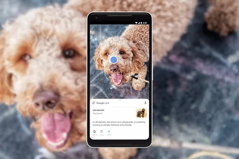 Google Lens bir milyar nesneyi tanıyabiliyor