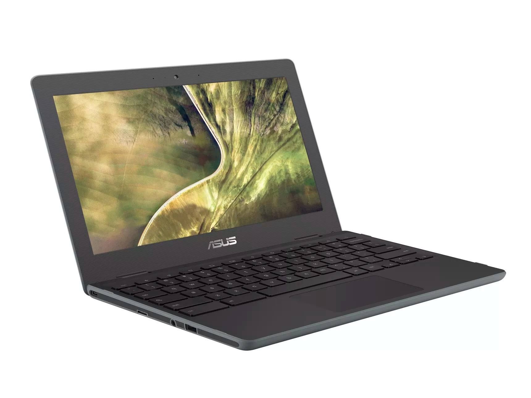 Asus Chromebook C204