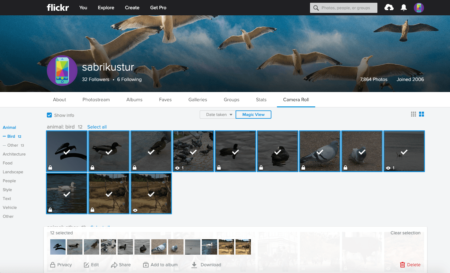 Fotoğraflarınızı Flickr’dan bilgisayarınıza nasıl indirebilirsiniz?