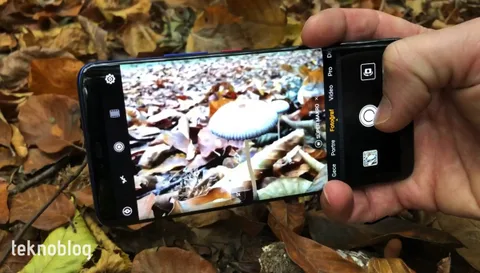 Huawei Mate 20 Pro: Süper makro fotoğraflar onun işi