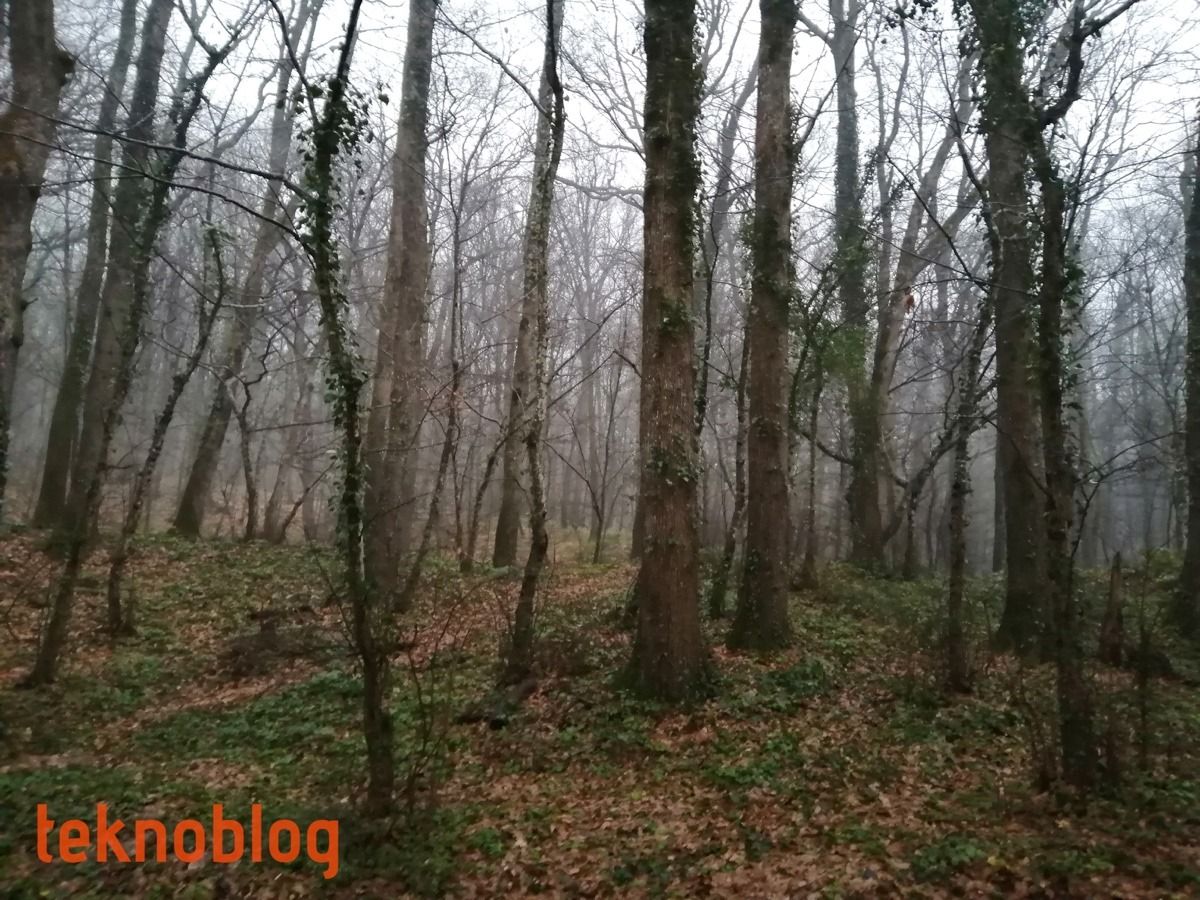 Huawei P smart 2019 İncelemesi