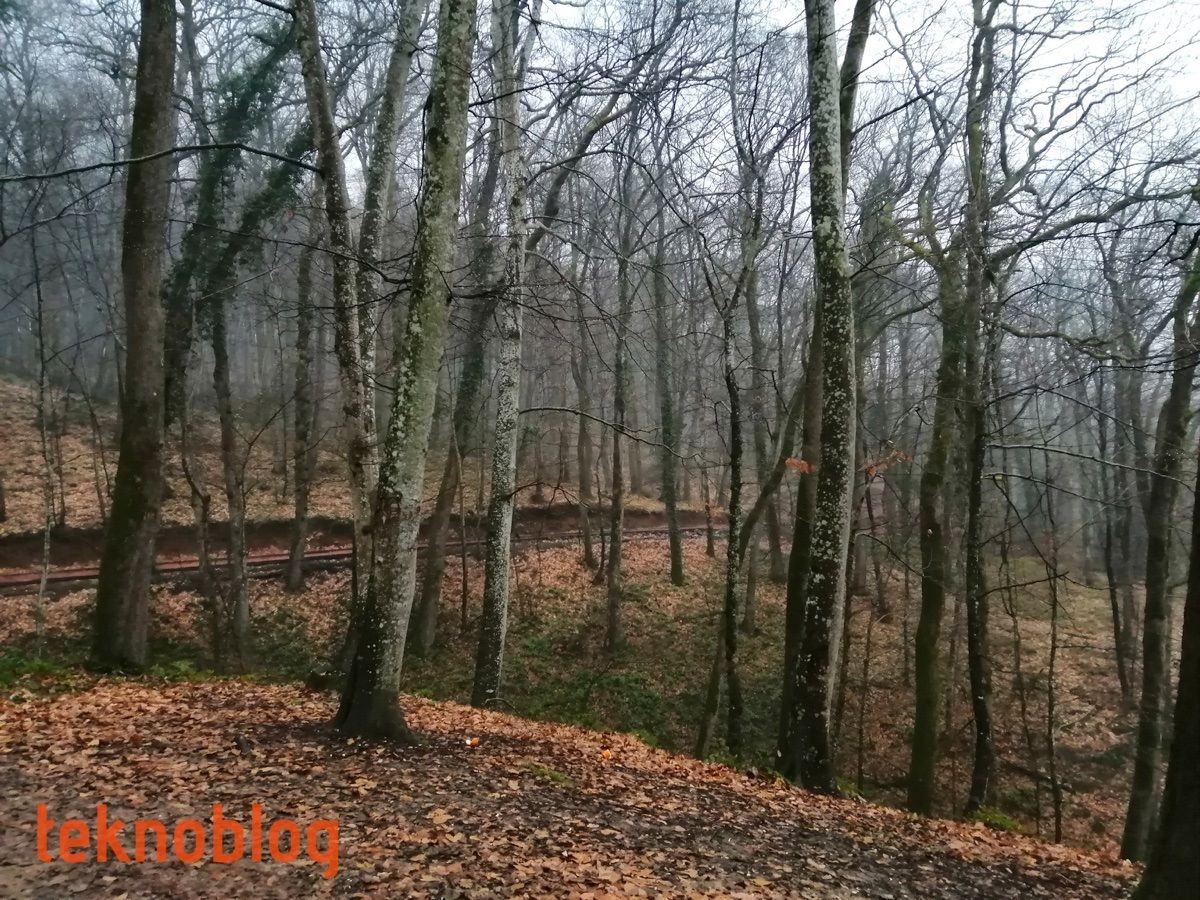 Huawei P smart 2019 İncelemesi