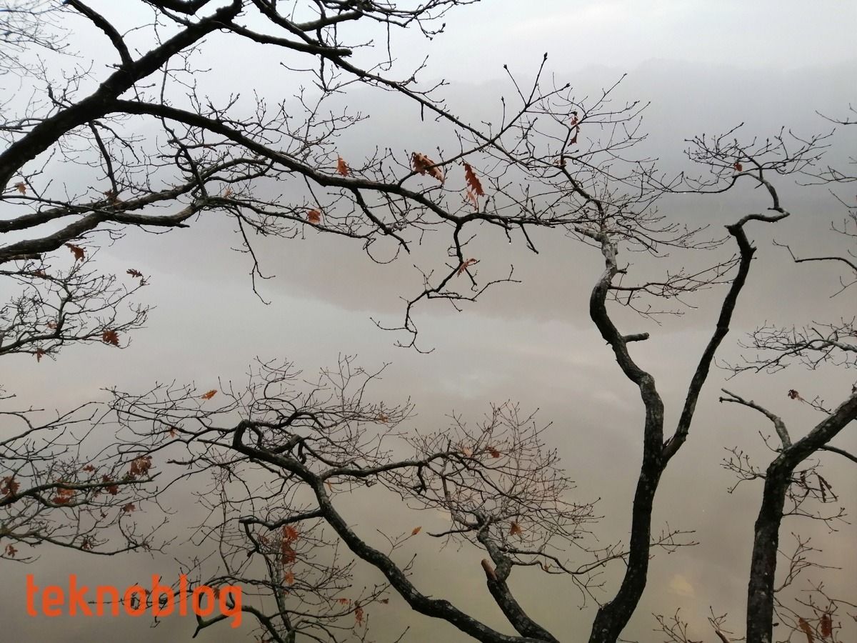 Huawei P smart 2019 İncelemesi