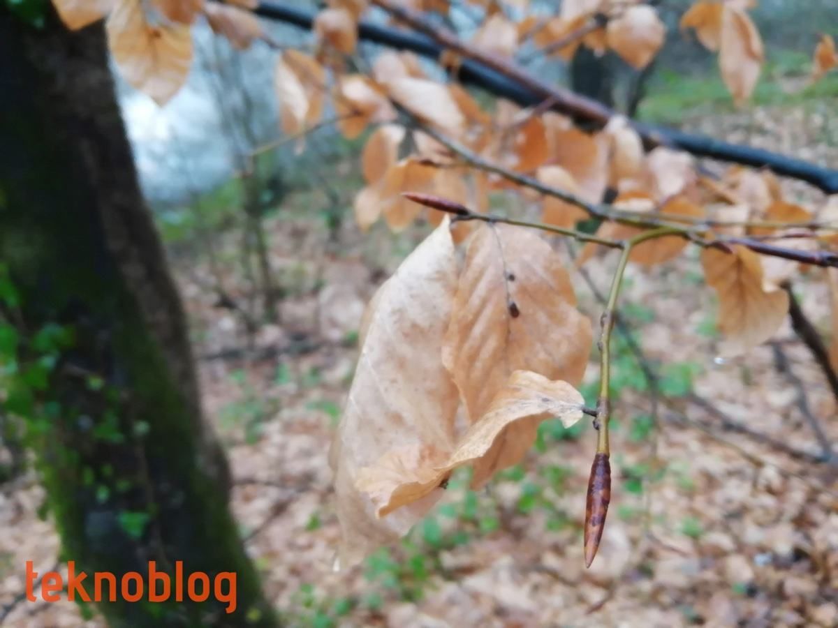 Huawei P smart 2019 İncelemesi