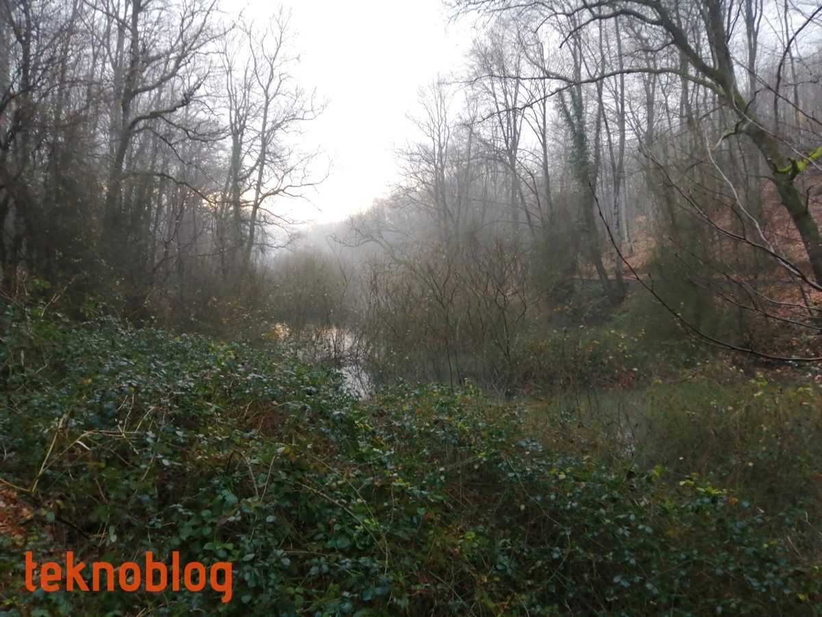 Huawei P smart 2019 İncelemesi