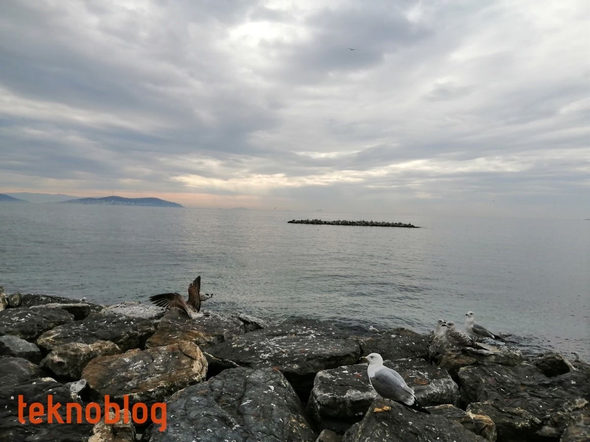 Huawei P smart 2019 İncelemesi