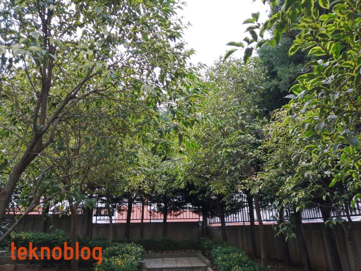 Huawei P smart 2019 İncelemesi