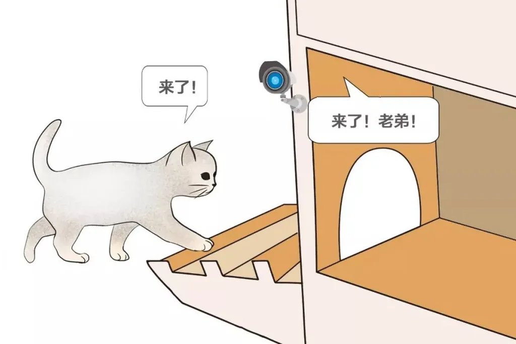 Baidu sokak kedilerini yapay zekâ yardımıyla koruyor