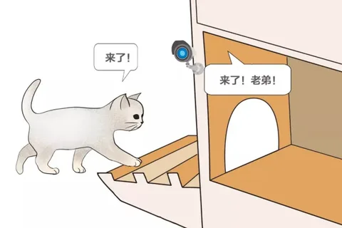 Baidu sokak kedilerini yapay zekâ yardımıyla koruyor