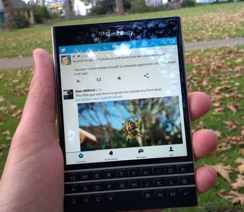 blackberry twitter