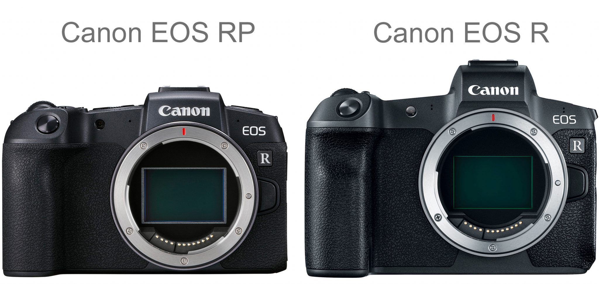 canon eos r vs canon eos rp