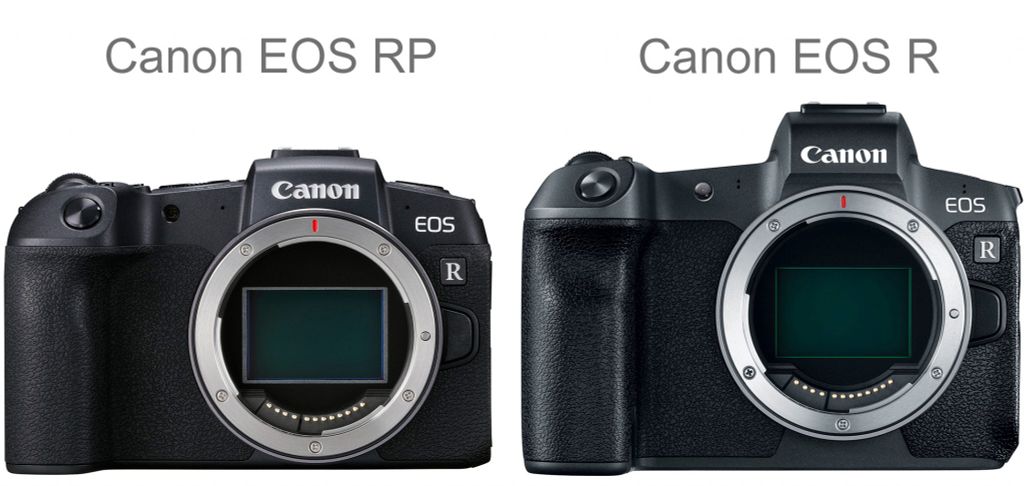 canon eos r vs canon eos rp