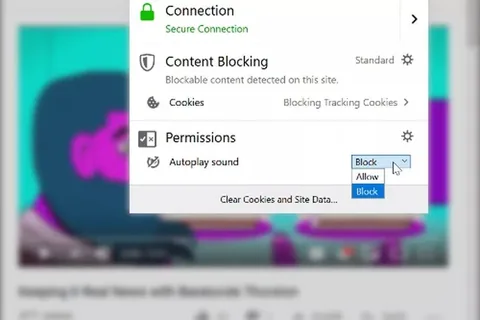 Firefox otomatik oynatılan videoların sesini kısacak