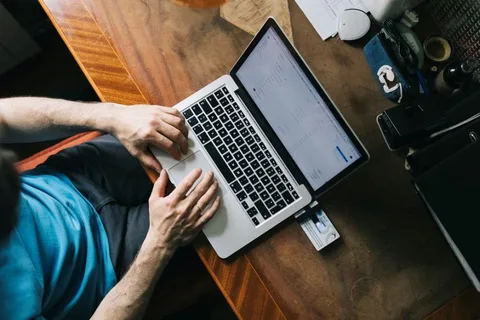 Estonyalılar internetten oy vermeye alışıyor