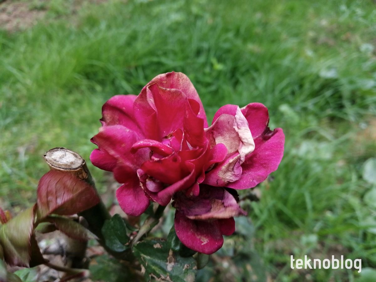 Honor 10 Lite İncelemesi