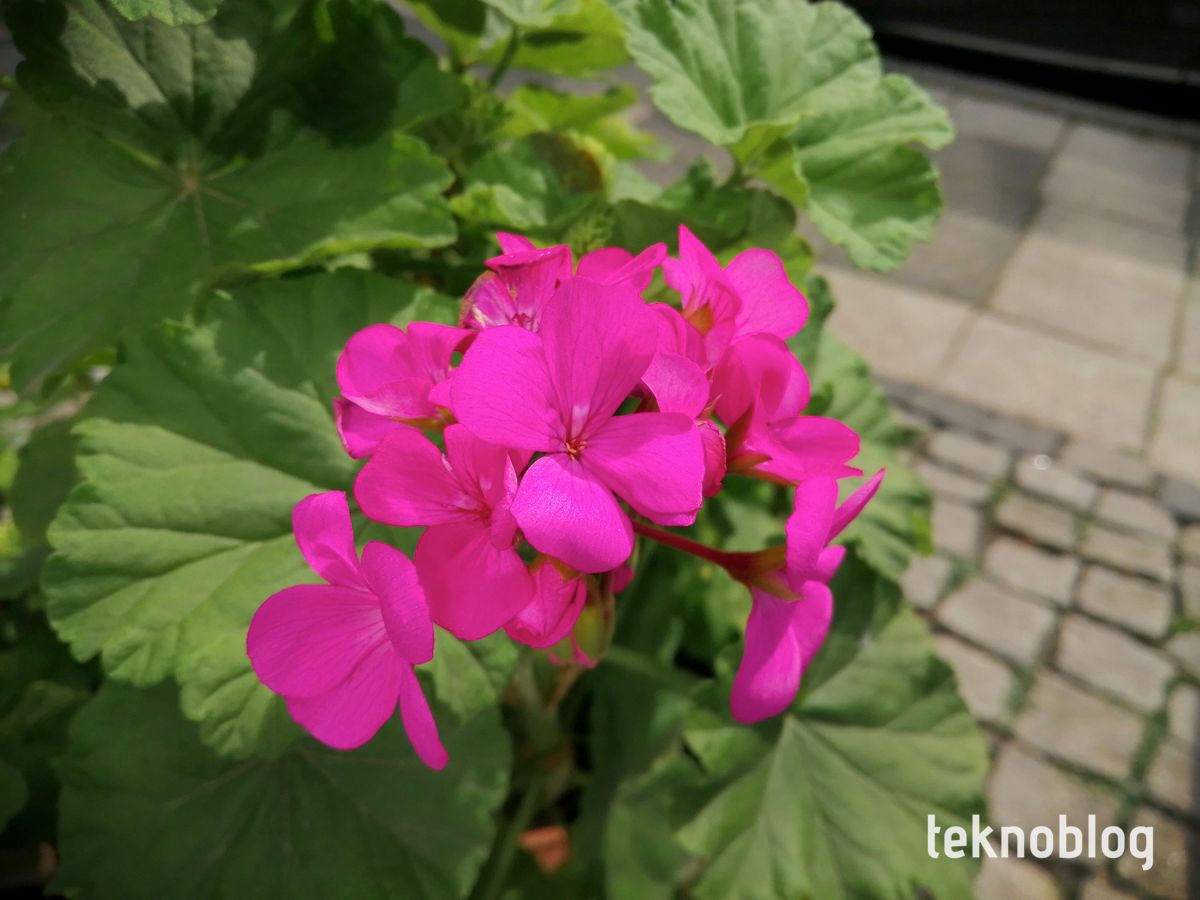 Honor 10 Lite İncelemesi