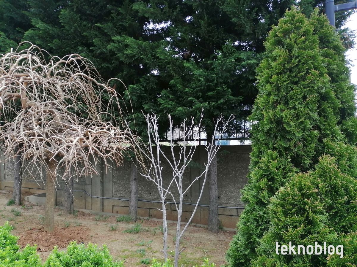 Honor 10 Lite İncelemesi