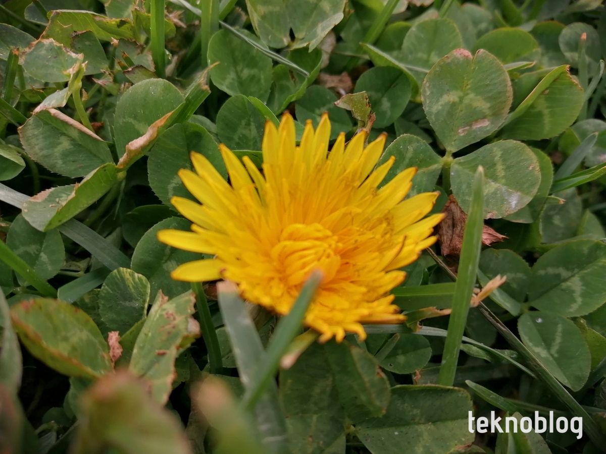 Honor 10 Lite İncelemesi