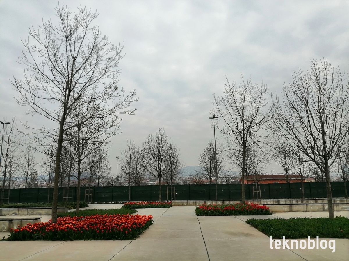 Honor 10 Lite İncelemesi