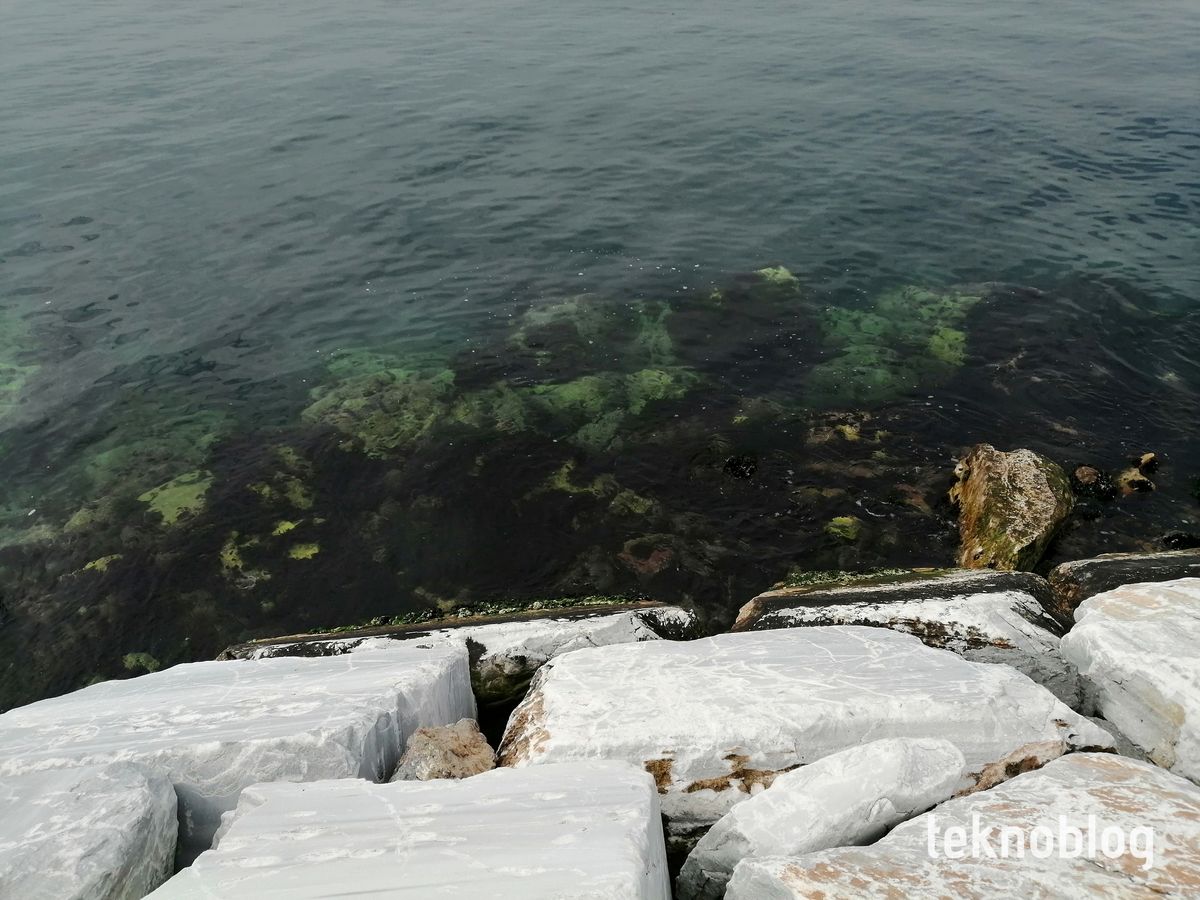 Honor 10 Lite İncelemesi