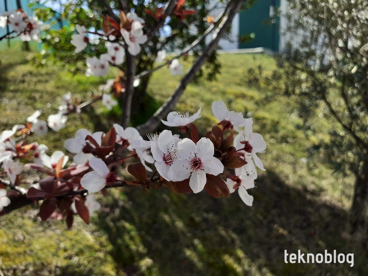 Samsung Galaxy M20 İncelemesi