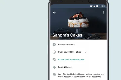 WhatsApp Business iOS uygulaması geliyor