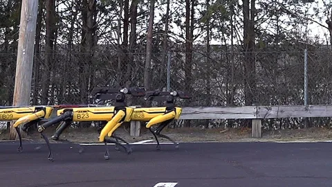 Boston Dynamics’in robotu Spot Mini’nin son marifetini görün – Video