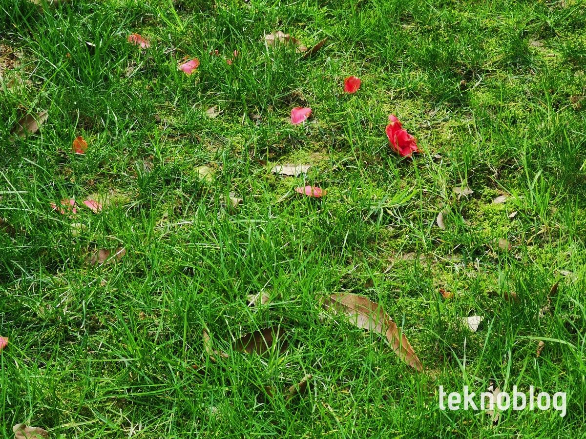 Huawei P30 Pro İncelemesi