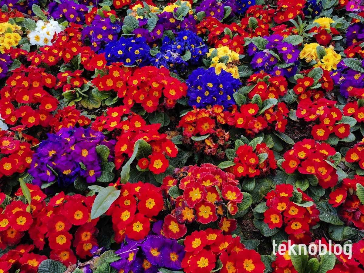 Huawei P30 Pro İncelemesi