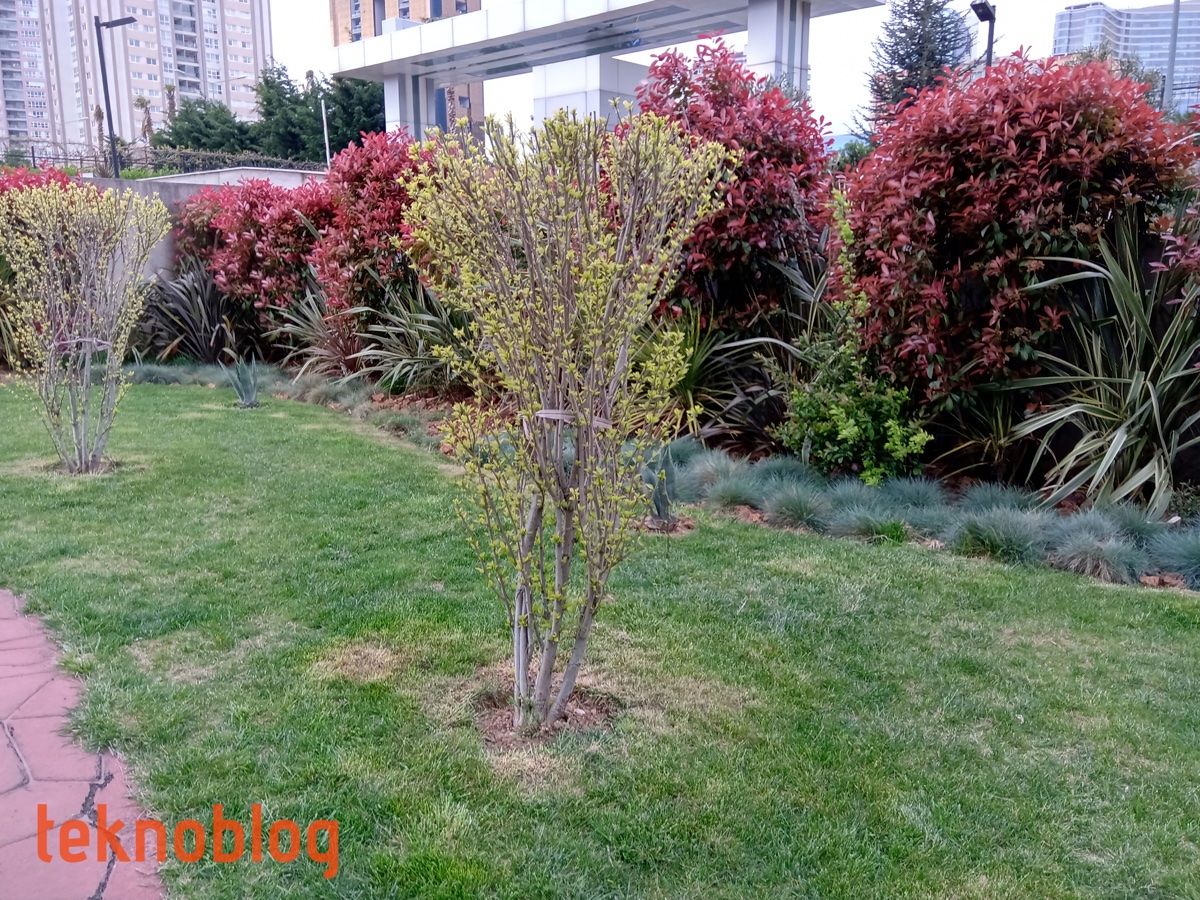 Nokia 5.1 Plus İncelemesi