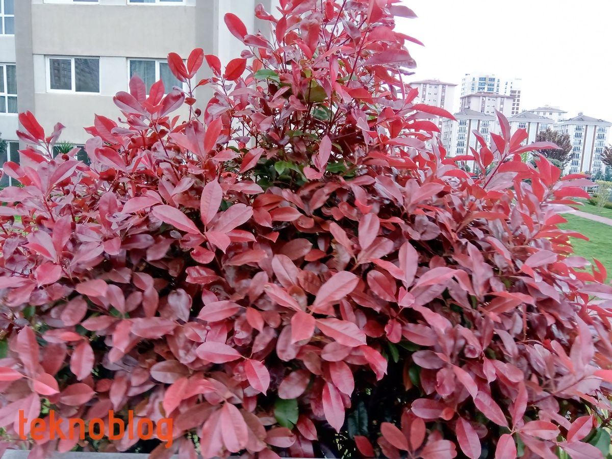 Nokia 5.1 Plus İncelemesi