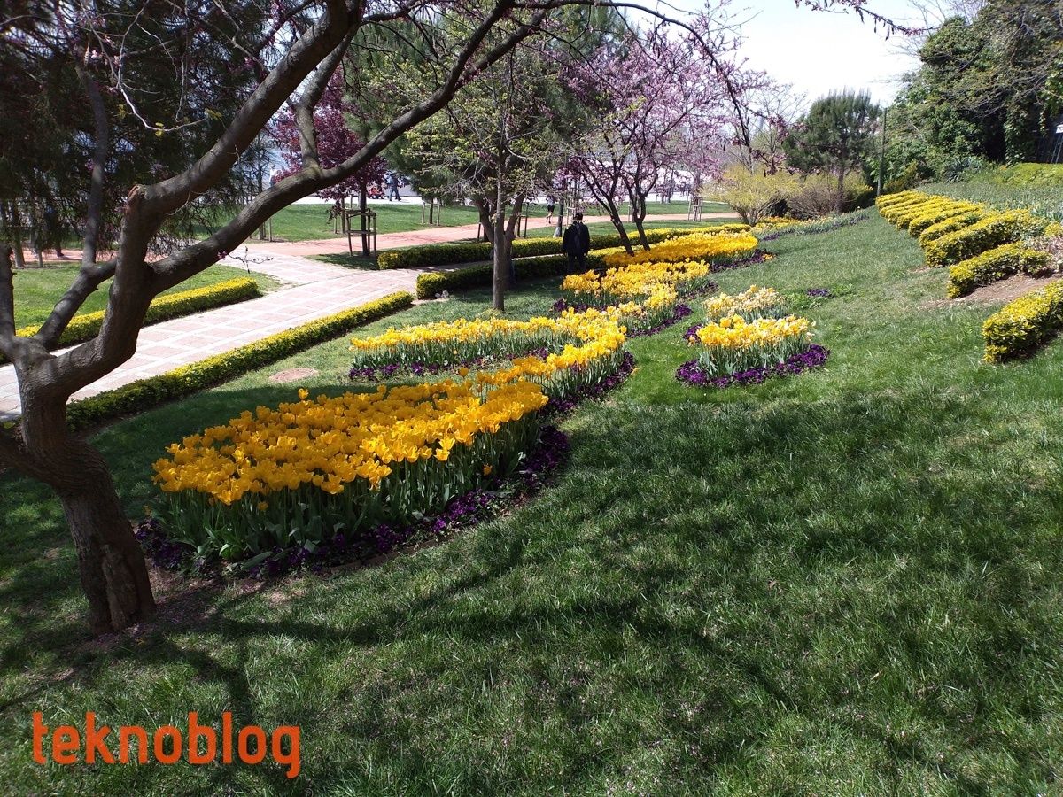 Honor 8C İncelemesi