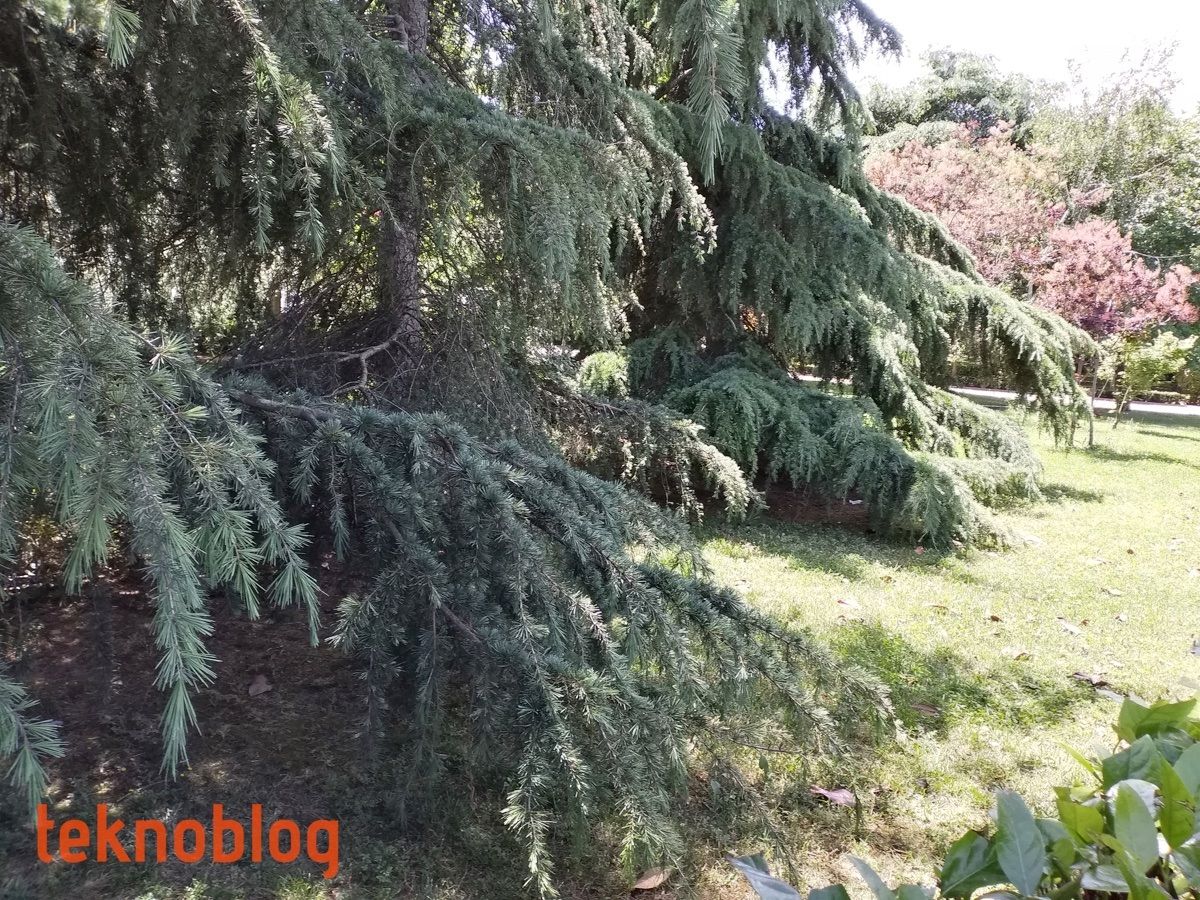 Honor 8C İncelemesi