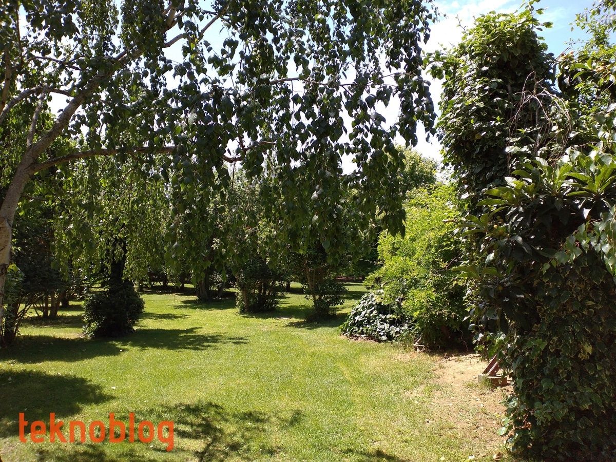 Honor 8C İncelemesi