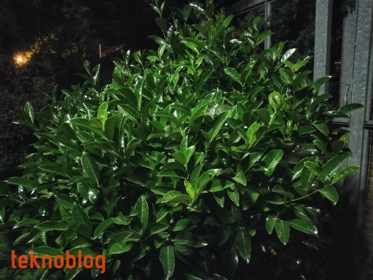 Honor 8C İncelemesi