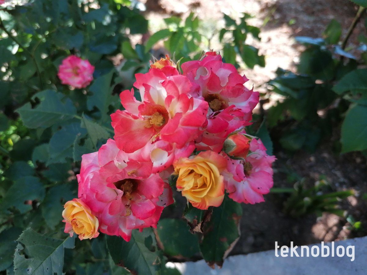 Huawei P30 Lite ön inceleme, ilk yorumlar