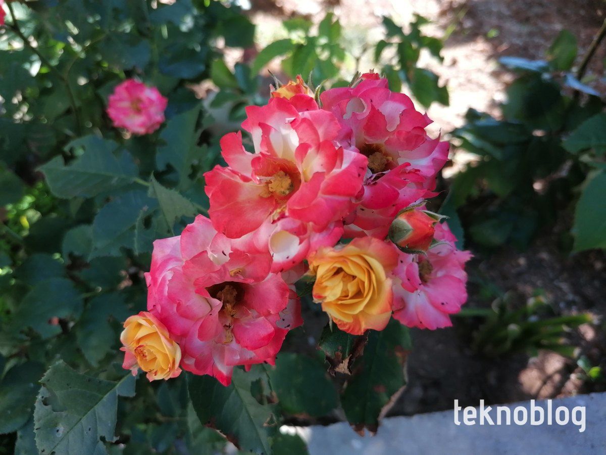 Huawei P30 Lite ön inceleme, ilk yorumlar