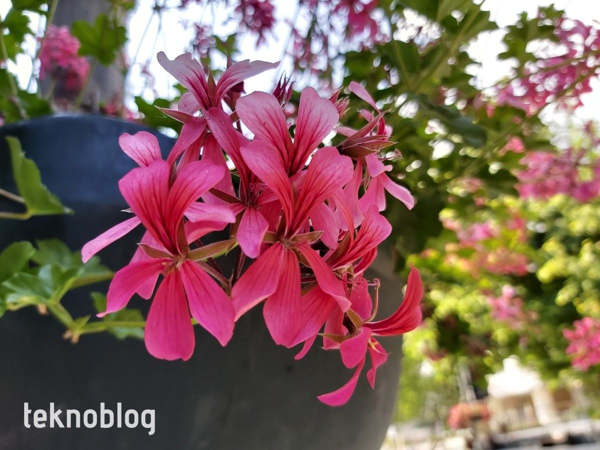 Samsung Galaxy A70 İncelemesi