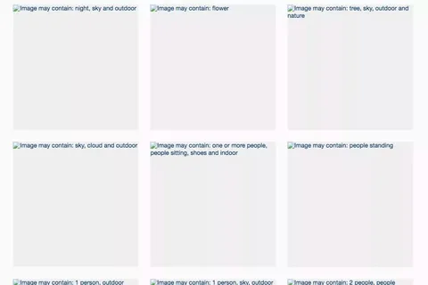 Resim sorunu Facebook’un yapay zekâsının perde arkasını gösterdi