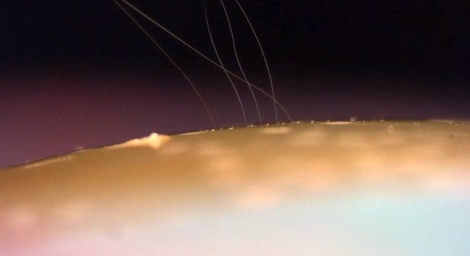 insan beyni bilgisayar