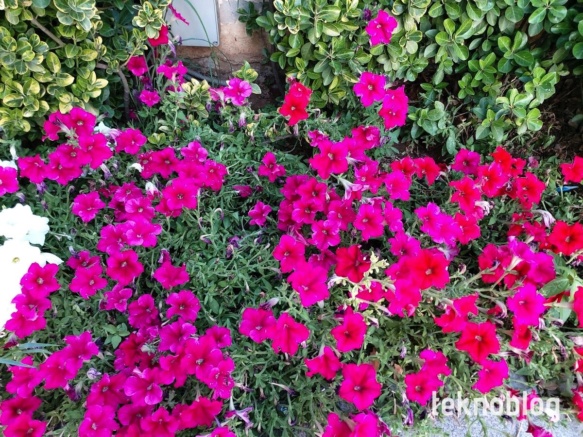 Samsung Galaxy A80 İncelemesi