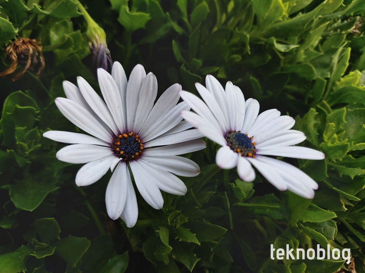 Samsung Galaxy A80 İncelemesi