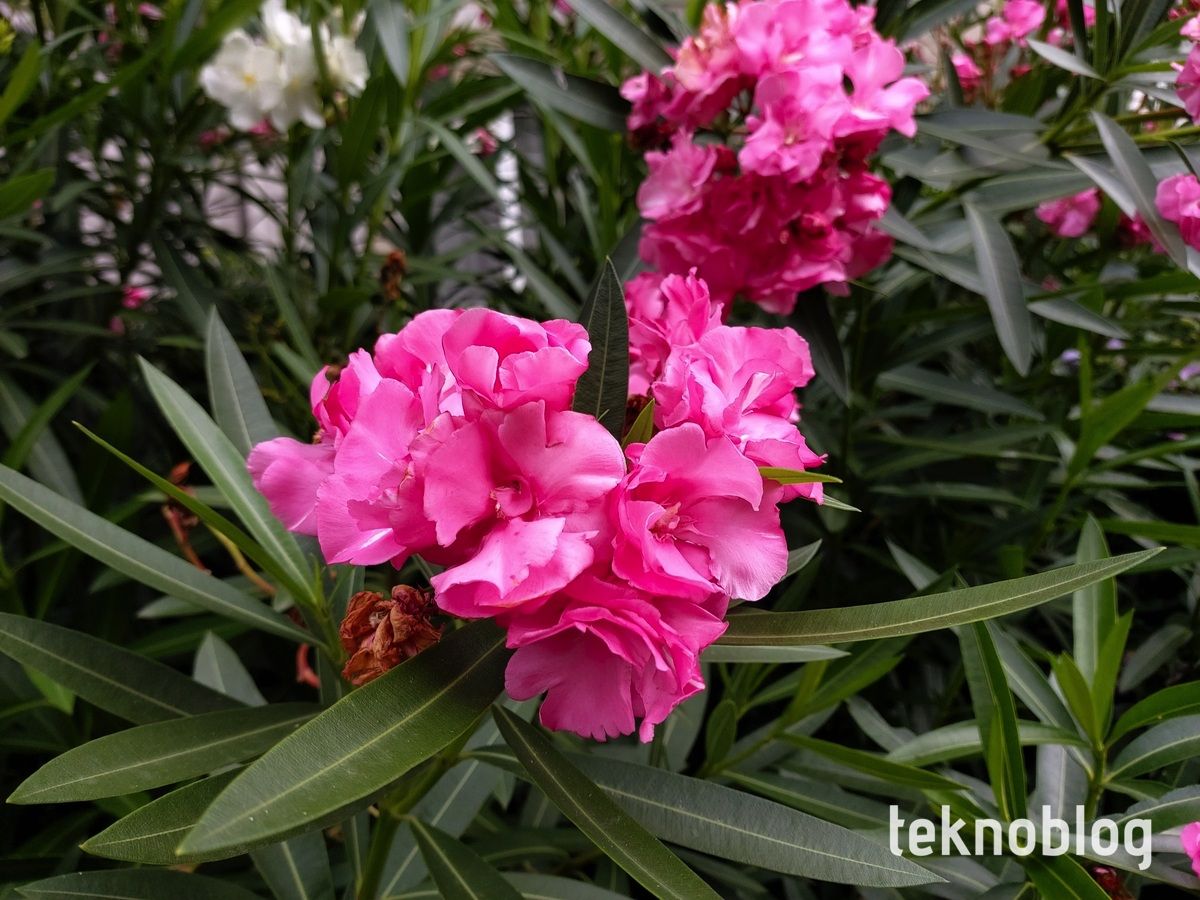 Samsung Galaxy A80 İncelemesi