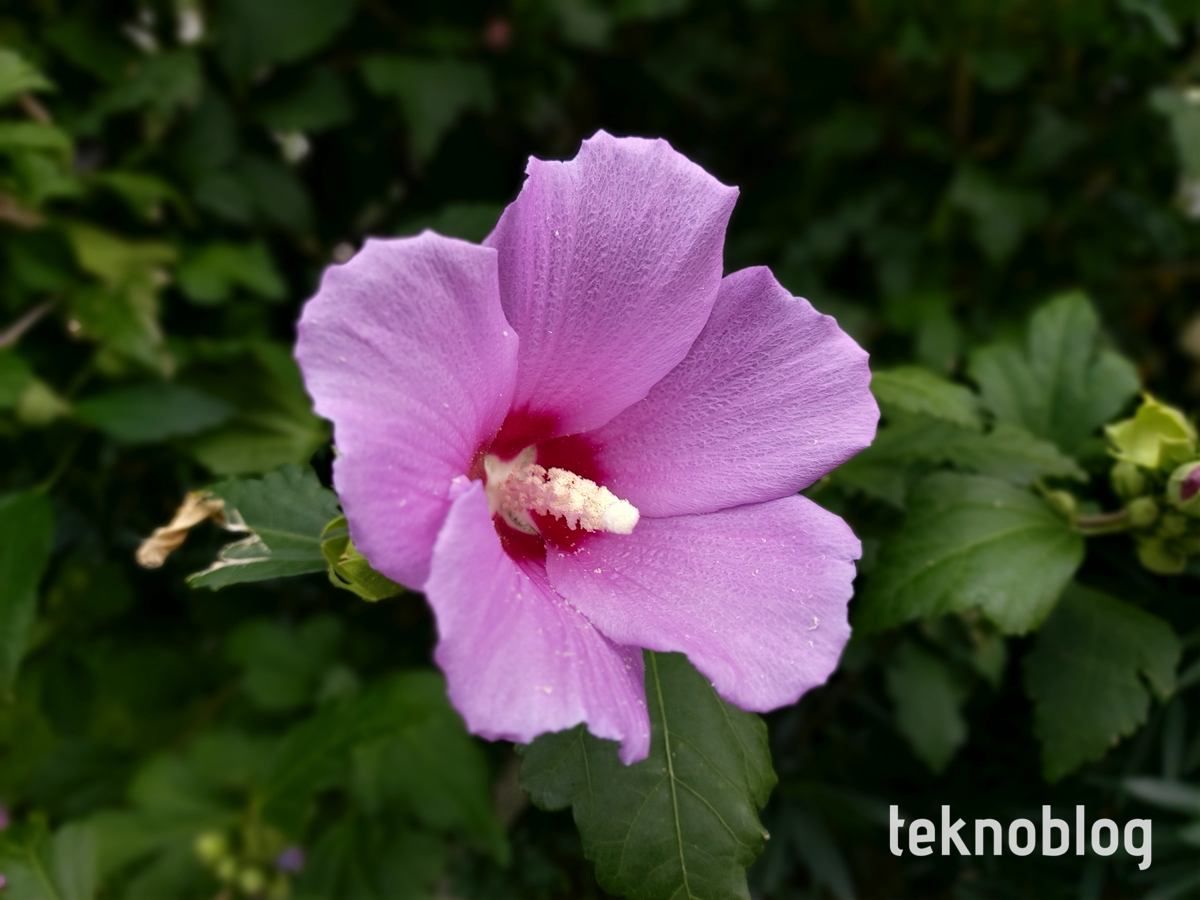 Samsung Galaxy A80 İncelemesi