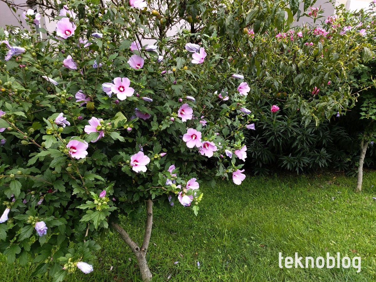 Samsung Galaxy A80 İncelemesi